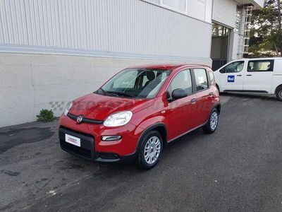 usata Fiat Panda Panda My24 1.0 70cv Hybrid