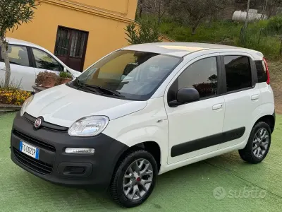 Usata Fiat Panda 4x4