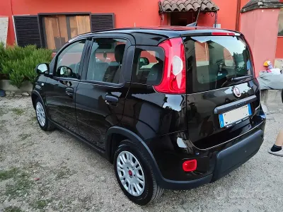 Usata Fiat Panda 70 CV (51 kW) 2024 Utilitaria