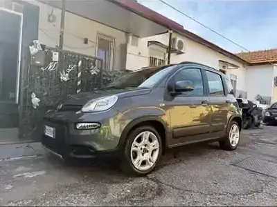 Usata Fiat Panda 69 CV (50 kW) 2023 Grigio Utilitaria
