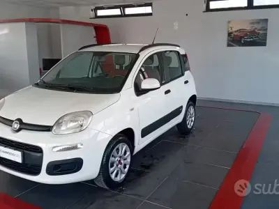 Usata Fiat Panda Easy 80 CV (58 kW) 2016 Bianco Utilitaria