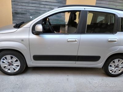 usata Fiat Panda Panda 1.1 Active Eco