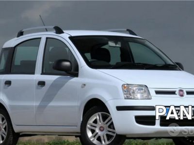 usata Fiat Panda 2011 neopatentati