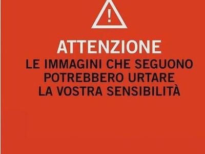 Usata Citroën Méhari 29 CV (21 kW) 1980 Marrone Cabrio