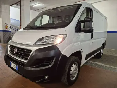 Usata Fiat Ducato 116 CV (85 kW) 2019 Bianco pastello Furgone