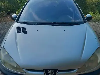 Usata Peugeot 206