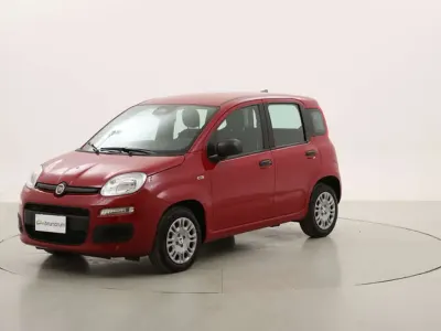 Usata Fiat Panda
