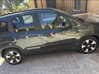 Usata Fiat Panda Icon 69 CV (50 kW) 2025 Verde Utilitaria