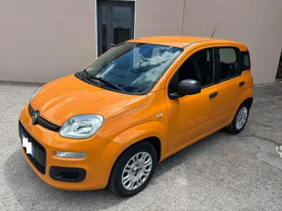 Usata Fiat Panda Easy 69 CV (50 kW) 2019 Arancione Utilitaria