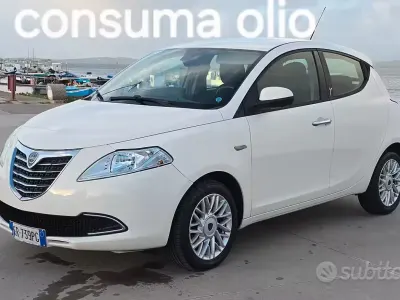 Käytetty Lancia Ypsilon