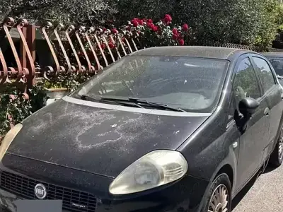 Usata Fiat Punto 75 CV (55 kW) 2007 Nero Utilitaria