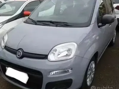 Usata Fiat Panda Easy 69 CV (50 kW) 2021 Grigio Utilitaria