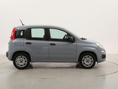 Usata Fiat Panda Easy 69 CV (50 kW) 2020 Utilitaria