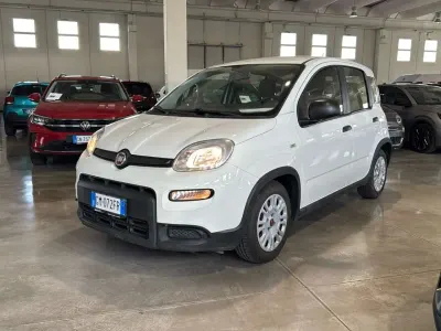 Usata Fiat Panda S 69 CV (50 kW) 2023 Bianco Utilitaria