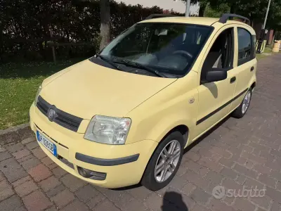 Usata Fiat Panda 60 CV (44 kW) 2008 Giallo Utilitaria