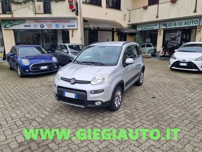 usata Fiat Panda 4x4 0.9 TwinAir Turbo S&S