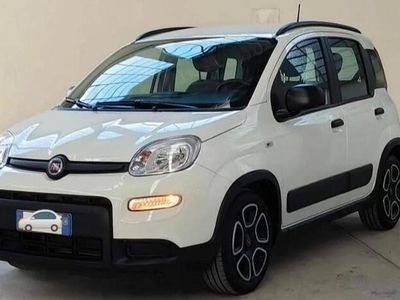 usata Fiat Panda Hybrid 2022 in arrivo