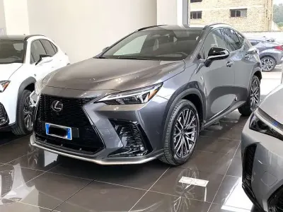 Usata Lexus NX450h+ Sport Line 309 CV (227 kW) 2023 SUV