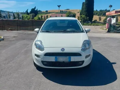 Usata Fiat Punto Street 70 CV (51 kW) 2014 Bianco Utilitaria