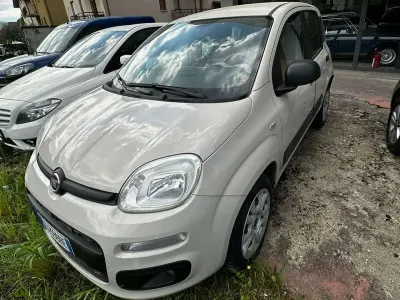 Usata Fiat Panda Easy 80 CV (58 kW) 2016 Beige Utilitaria