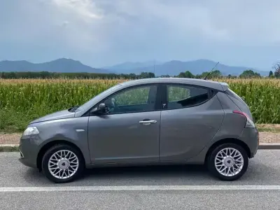 Usata Lancia Ypsilon Gold 95 CV (69 kW) 2015 Grigio Utilitaria