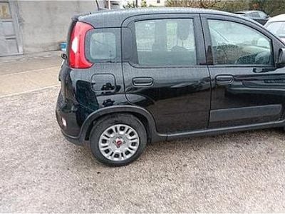 Usata Fiat Panda 2023 Nero Berlina