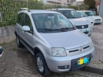 Usata Fiat Panda 4x4 Climbing 75 CV (55 kW) 2011 Argento Utilitaria