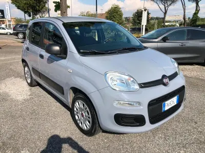 Usata Fiat Panda Easy 69 CV (50 kW) 2018 Grigio Utilitaria