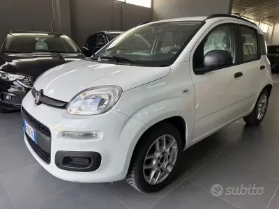 Usata Fiat Panda Lounge 69 CV (50 kW) 2014 Bianco Utilitaria
