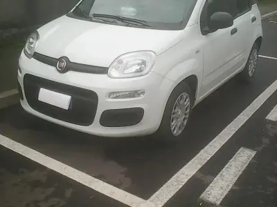 Usata Fiat Panda 65 CV (47 kW) 2025 Bianco Utilitaria