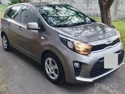 Usata Kia Picanto 67 CV (49 kW) 2018 Grigio Utilitaria