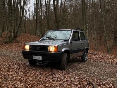 Usata Fiat Panda 4x4 Trekking 1998 Grigio Utilitaria