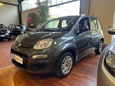 Usata Fiat Panda Easy 95 CV (69 kW) 2017 Grigio Utilitaria