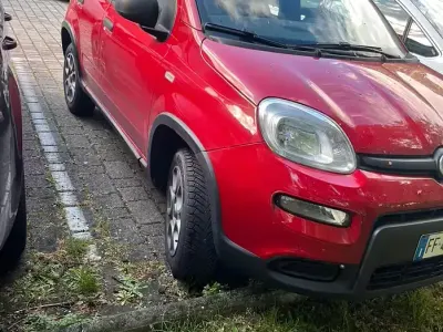 Usata Fiat Panda 4x4