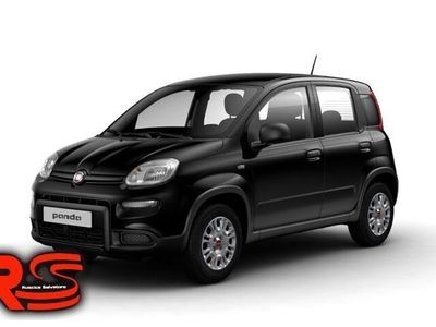 usata Fiat Panda 1.0 1.0 FireFly S&S Hybrid NUOVA DA IMMATRICOLARE