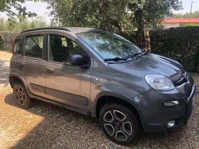 Usata Fiat Panda 4x4 Wild 86 CV (63 kW) 2021 Grigio Utilitaria