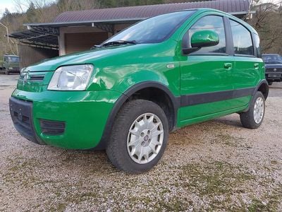Usata Fiat Panda 4x4 69 CV (50 kW) 2010 Verde Utilitaria