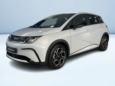 Usata BYD Dolphin