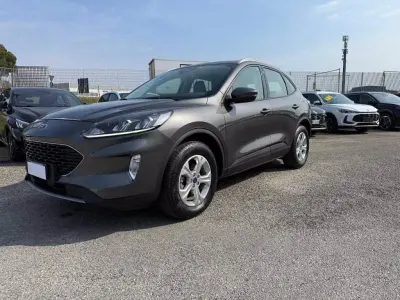 Usata Ford Kuga Business Edition 190 CV (139 kW) 2021 Magnetic grey SUV