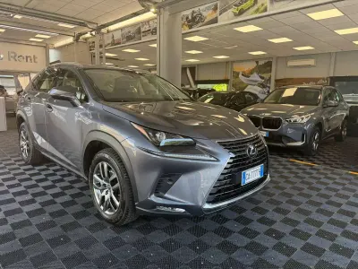 Usata Lexus NX300h Luxury Line 155 CV (114 kW) 2020 Grigio SUV