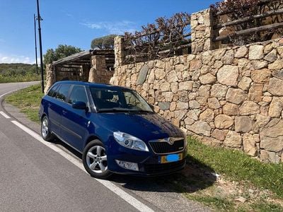 Usata Skoda Fabia GreenLine 2011 Berlina