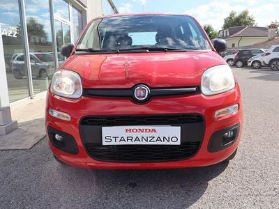 Usata Fiat Panda Easy 95 CV (69 kW) 2019 Rosso Utilitaria