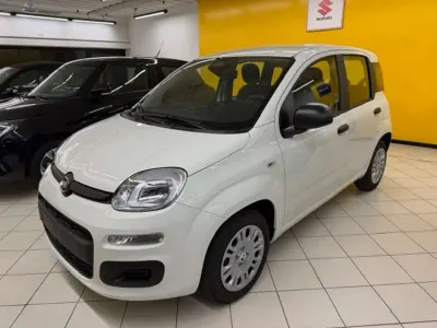 Nuova Fiat Panda Icon 70 CV (51 kW) 2025 Bianco Utilitaria