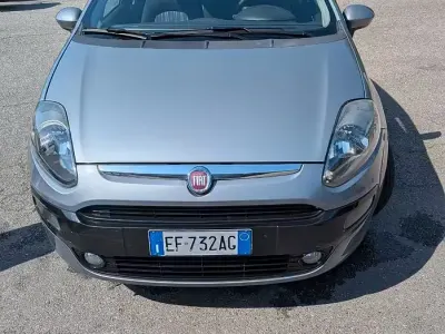 Brugt Fiat Punto