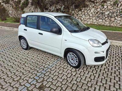 Usata Fiat Panda Easy 69 CV (50 kW) 2020 Bianco Utilitaria
