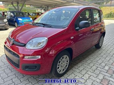 Nuova Fiat Panda Icon 69 CV (50 kW) 2026 Rosso Utilitaria