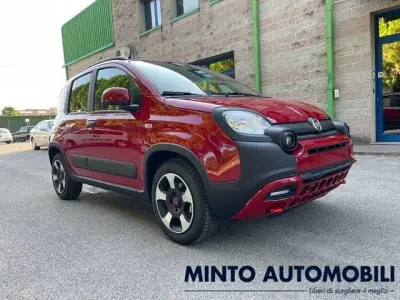 Usata Fiat Panda Cross Cross 70 CV (51 kW) 2024 Rosso Utilitaria