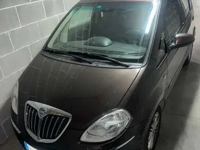 Usata Lancia Musa 90 CV (66 kW) 2010 Bronzo Monovolume