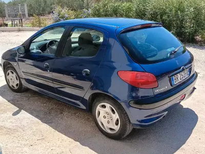 Usata Peugeot 206