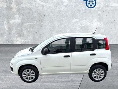 Usata Fiat Panda Easy 85 CV (62 kW) 2020 Bianco Utilitaria